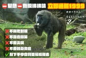 罵人新詞彙？她臉書批表妹像「狒狒」　下場芭比Q了