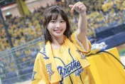 影/紅到日本！甲子園應援跳起「炸裂陳子豪」　網笑：真的是世界名曲