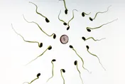 瑞士研究：滑手機恐影響「精子品質」！濃度下降、不孕機率增