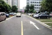 民眾目擊白色轎車保險桿遭扯掉　凶手非人禍竟是「牠」惹禍