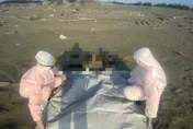 影/台沿海驚見16具浮屍！疑遭人蛇丟包…高大成曝3大關鍵：看體內海藻