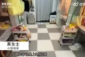 影/江西女大生失聯數日杳無音訊...警方查實跳江自殺　母慟：度日如年