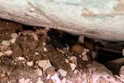 快訊/憾！台中房屋坍塌釀2死！1受困工人無生命跡象搶救中
