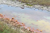 亂倒強酸廢液汙染河川！跨4縣市狂撈8千萬　3人遭收押