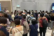 獨/搞丟近百名旅客行李！他揭始末氣喊：太扯　長榮回應：「深表歉意」