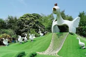 南部打卡秘境/全台唯一「飛天鵝溜滑梯」　孩子一到不再哭鬧