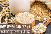 「燕麥奶」似奶非奶？相較牛奶更低脂　時下減重好夥伴