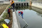 連假接噩耗！嘉義大排驚見女浮屍　29歲女失聯一日竟溺斃