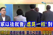 影/酸民進黨雙標蔡英文「刷存在感就高潮」！葉元之曝台灣恐面臨可怕後果