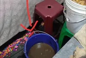 影/噁爆！吃夜市牛排轉頭驚見「黑水」洗碗　網嘲：這就是美味的秘訣