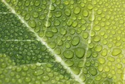 這4生肖「做1事」可時來運轉…迎下周新節氣！專家：轉運趁現在