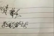 女兒看不懂爸爸臨終手寫遺言發文求助　網友解出是「這9字」瞬間淚崩