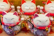 「4生肖」天生自帶財氣！屬虎旺財旺運　TOP1不怕沒錢花