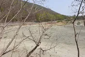 高雄旱象地裂開！半屏湖濕地裸露見底　柴山湧泉乾涸