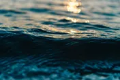 阿茲海默症「幫凶」華麗變身　類澱粉蛋白可有效淡化海水