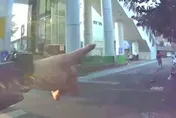 影/阿sir飛毛腿！警抓逃逸移工　勇腳追1公里成功逮人