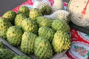 別再傷口抹鹽了！嘴破痛不欲生　營養師授6招傷口快速恢復