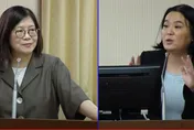 影/政院修法授權海巡署長開砲權　陳玉珍憂：增加兩岸擦槍走火可能