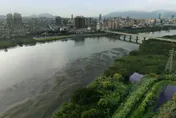 64歲父離奇墜橋22歲兒下水救爹　「父漂3km救起」送醫宣告不治