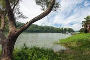 天降甘霖！南北水庫「兩樣情」　苗栗水喝飽飽…南臺灣還在口渴