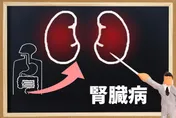 慢性腎病成因6大項「病況進展分5期」　醫曝護腎8原則：減輕負擔