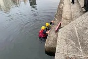 快訊/晨運跑步民眾嚇傻！高雄愛河驚傳女子溺水　緊急救起已無生命跡象
