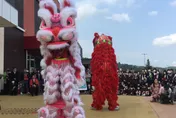 台灣獅舞到世界去　青山宮赴日交流大獲好評