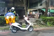 把「祖先」亂丟分隔島！阿sir夜半單槍匹馬「搬運」　元凶抓到了警方要罰