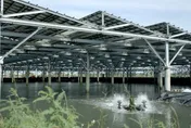 審計部揭露漁電共生亂象　近7成案場未落實養殖