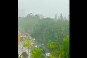 台南曾文水庫集水區現雨勢　網友讚「及時雨下的正是時候」