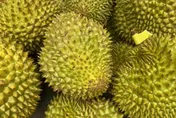隔著螢幕都有味道！營養師揭榴槤「6大優缺點」