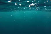全球海洋溫度飆升中！科學家找嘸原因　人類恐面臨氣候災難