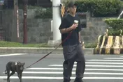 天母人捕捉「野生彭于晏」！彎腰背影照洩「1暖舉」　網嗨喊：要瘋了