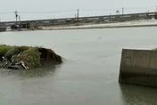 漁民崩潰！大雨後「魚塭潰堤」　虱目魚＋蝦子跑光光大喊：自由啦～