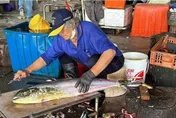 影／處理過20萬尾魚！台東新港漁港殺魚嬤「快狠準」　40年刀工無人敵