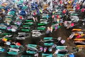 母親節寵愛／東港黑鮪魚季開跑！1天抓到140尾　帶媽媽大啖海鮮抽大獎