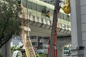出事包商5年7件重大工安！勞動部說全面檢查　游淑慧：非要等憾事發生才要處理