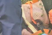 快訊/疑似為了70萬行刑式殺人！五股「棉被裹屍塞行李箱丟棄」兇案已尋獲槍枝