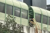 快訊/靜宜女助理教授命喪中捷！檢方相驗死因出爐了