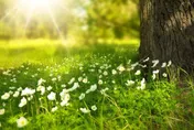 命理師提醒立夏過後　這4星座好運將到收穫滿滿