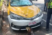 高雄路樹突然斷裂砸2車　停車格內小黃引擎蓋被砸扁