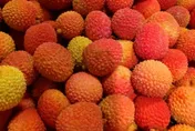 荔枝吃太多當心上火！　農業部：成人一天食用不宜超10顆