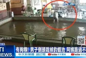 影/釣蝦釣到一半！前空翻躍進池　糗爆！只是為了救眼鏡「展特技」
