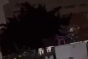 影/不怕觸電？高雄超狂阿伯在變電箱上乘涼　台電：設備不危險