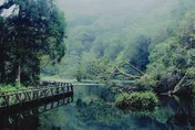快訊/宜蘭福山植物園收炸彈恐嚇！ 緊急休園進行搜索