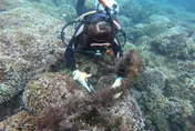 感動！花蓮40名潛海戰將　石梯坪撈出44公斤「海底垃圾」