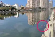 台南運河驚見女浮屍「現場無交通工具」　警清查身分中