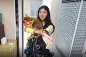 企鵝妹環島遇流浪犬暖心送治療　醫院大讚：「人美心更美」