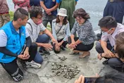 心血泡湯！台西文蛤大量暴斃、災損逾千公頃　漁民盼中央救助