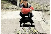 高雄是恐龍王國？幼兒園附近有綠鬣蜥　議員通報1晚竟捕抓到74隻